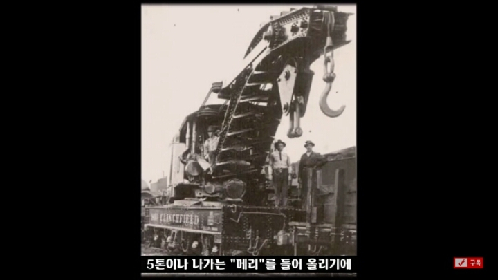 살인죄로 교수형 당한 코끼리 메리 | 인스티즈