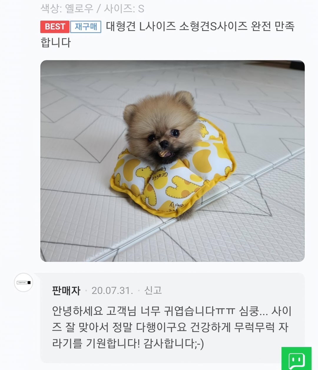 대형견 L사이즈 소형견 S사이즈 완전만족합니다 | 인스티즈