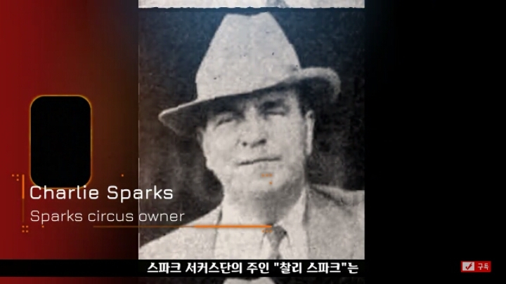 살인죄로 교수형 당한 코끼리 메리 | 인스티즈