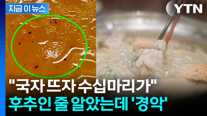 '후추겠지' 했는데 다리에 날개가...악몽이 된 샤브샤브 식사 | 인스티즈