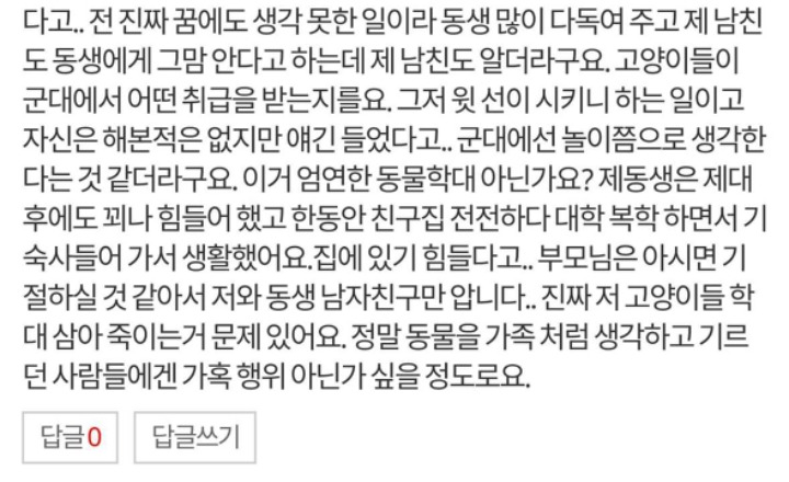 군대에서 빈번하게 일어나는 고양이 학대 (혐오주의) | 인스티즈