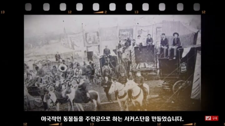 살인죄로 교수형 당한 코끼리 메리 | 인스티즈