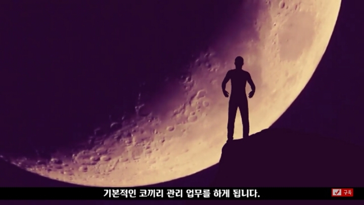 살인죄로 교수형 당한 코끼리 메리 | 인스티즈