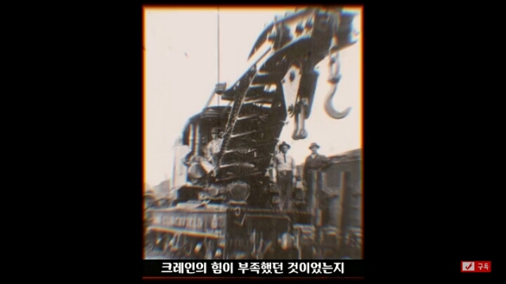 살인죄로 교수형 당한 코끼리 메리 | 인스티즈