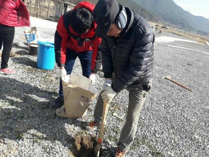 2월19일 일요일. 개소주가 되어버린 나의 가족 매실이를 예쁜매실나무로 만들어 보내주었습니다 | 인스티즈