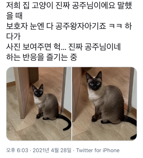 저희집 햄스터는 고경표 닮았어요... | 인스티즈