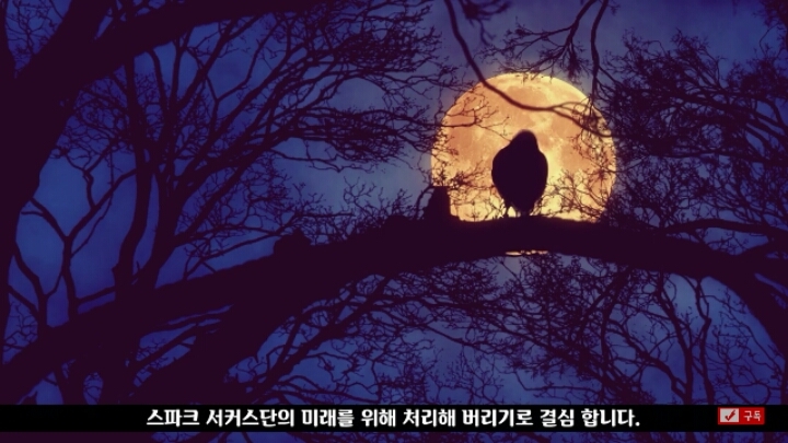 살인죄로 교수형 당한 코끼리 메리 | 인스티즈