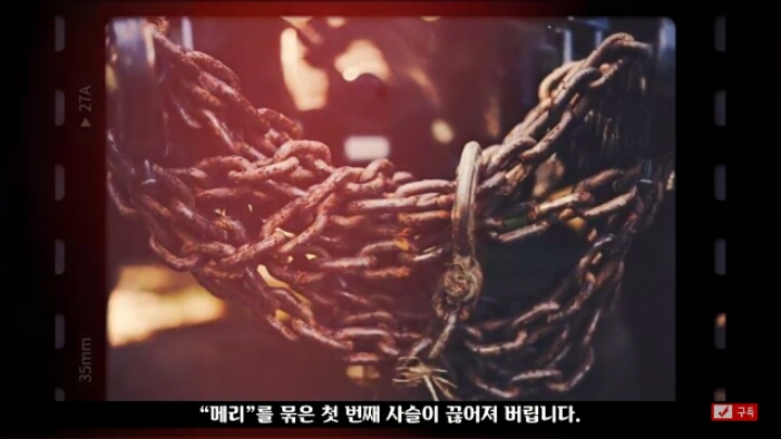 살인죄로 교수형 당한 코끼리 메리 | 인스티즈