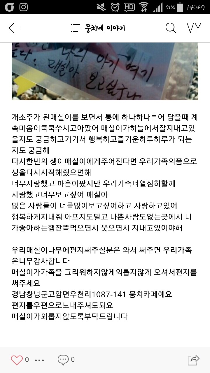 2월19일 일요일. 개소주가 되어버린 나의 가족 매실이를 예쁜매실나무로 만들어 보내주었습니다 | 인스티즈