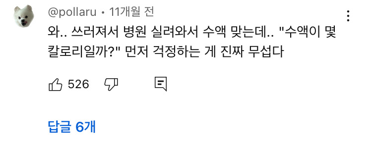 우리나라 여자들 다이어트 강박ㄹㅇ 유해한 거 같은 달글 | 인스티즈