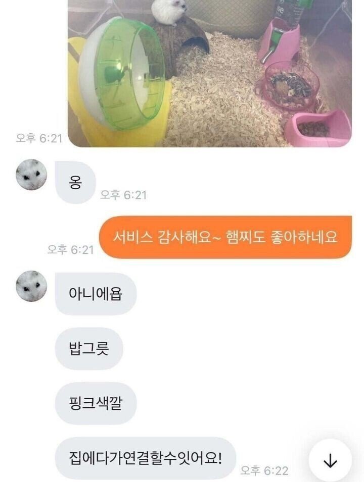 초딩이랑 당근거래 하면 생기는 일 | 인스티즈