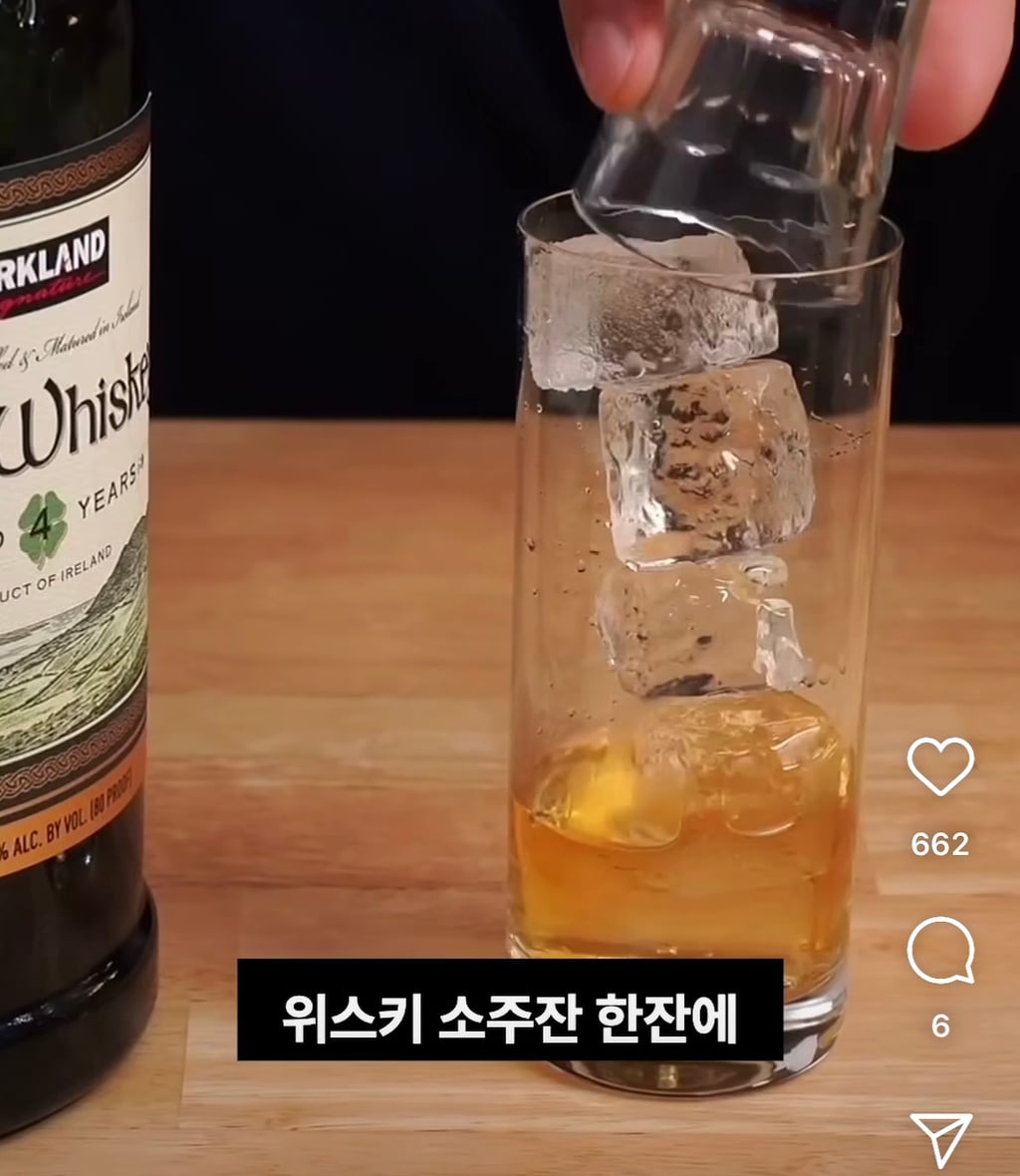 집에서 하이볼 만들어 먹기 🍋🍸 | 인스티즈