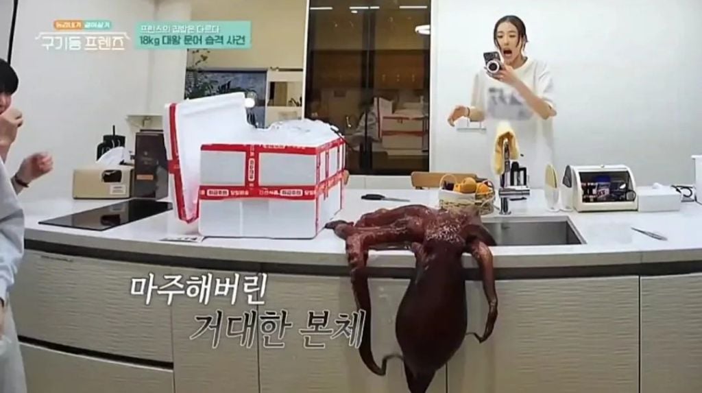 장근석이 멤버들과 먹을려고 구매한 18kg짜리 문어 크기 | 인스티즈