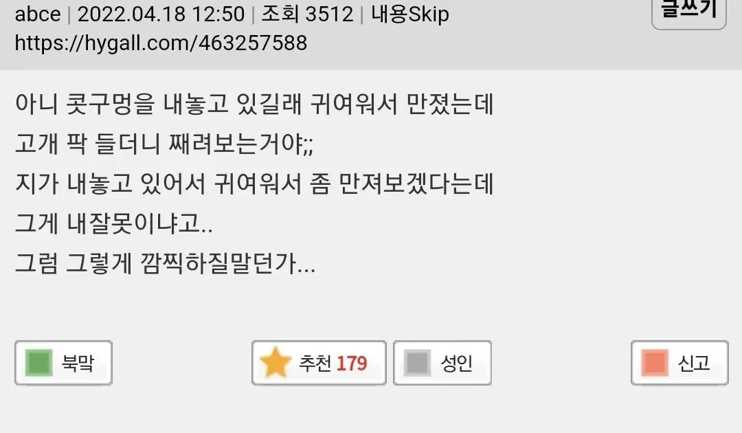 반려동물한테는 개저같이 말하게 됨 | 인스티즈