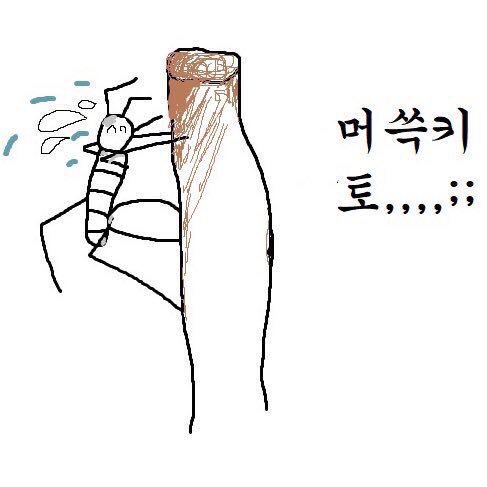 머쓱타드,,,, 시리즈.jpg | 인스티즈