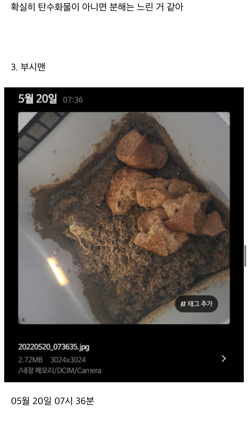 미생물 처리기에 음쓰 이것저것 많이 넣어본 후기 (미생물 키우기 1탄) | 인스티즈