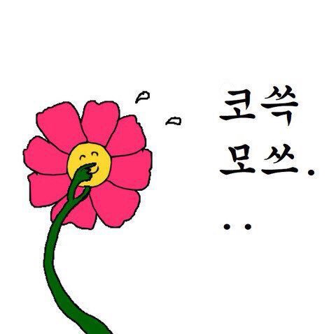 머쓱타드,,,, 시리즈.jpg | 인스티즈