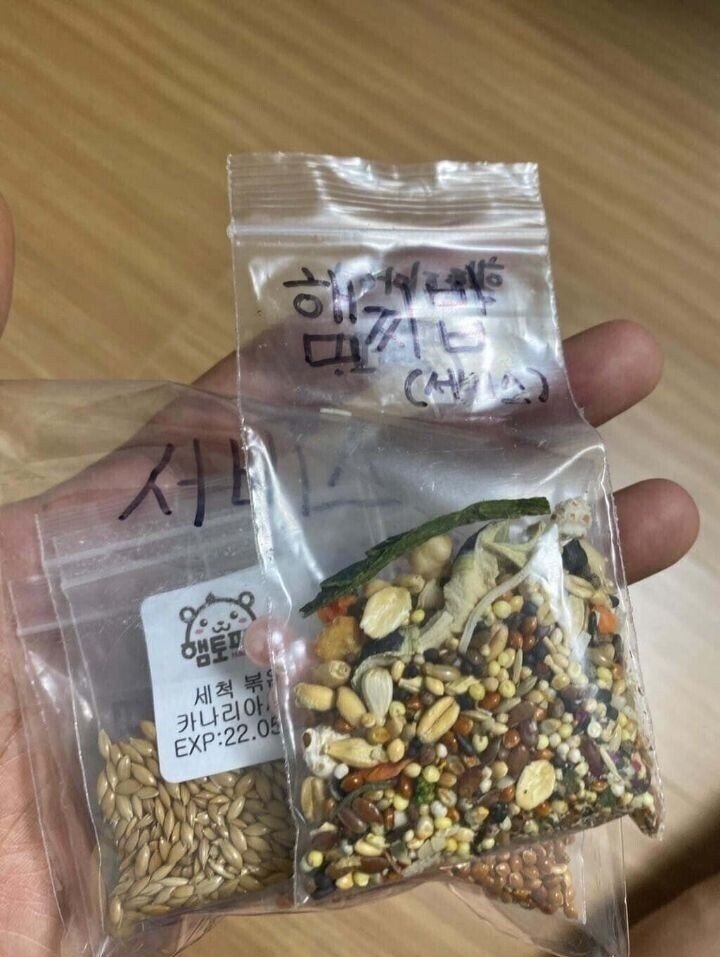 초딩이랑 당근거래 하면 생기는 일 | 인스티즈