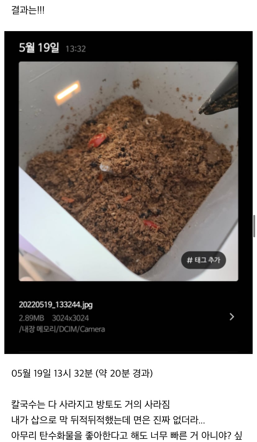 미생물 처리기에 음쓰 이것저것 많이 넣어본 후기 (미생물 키우기 1탄) | 인스티즈