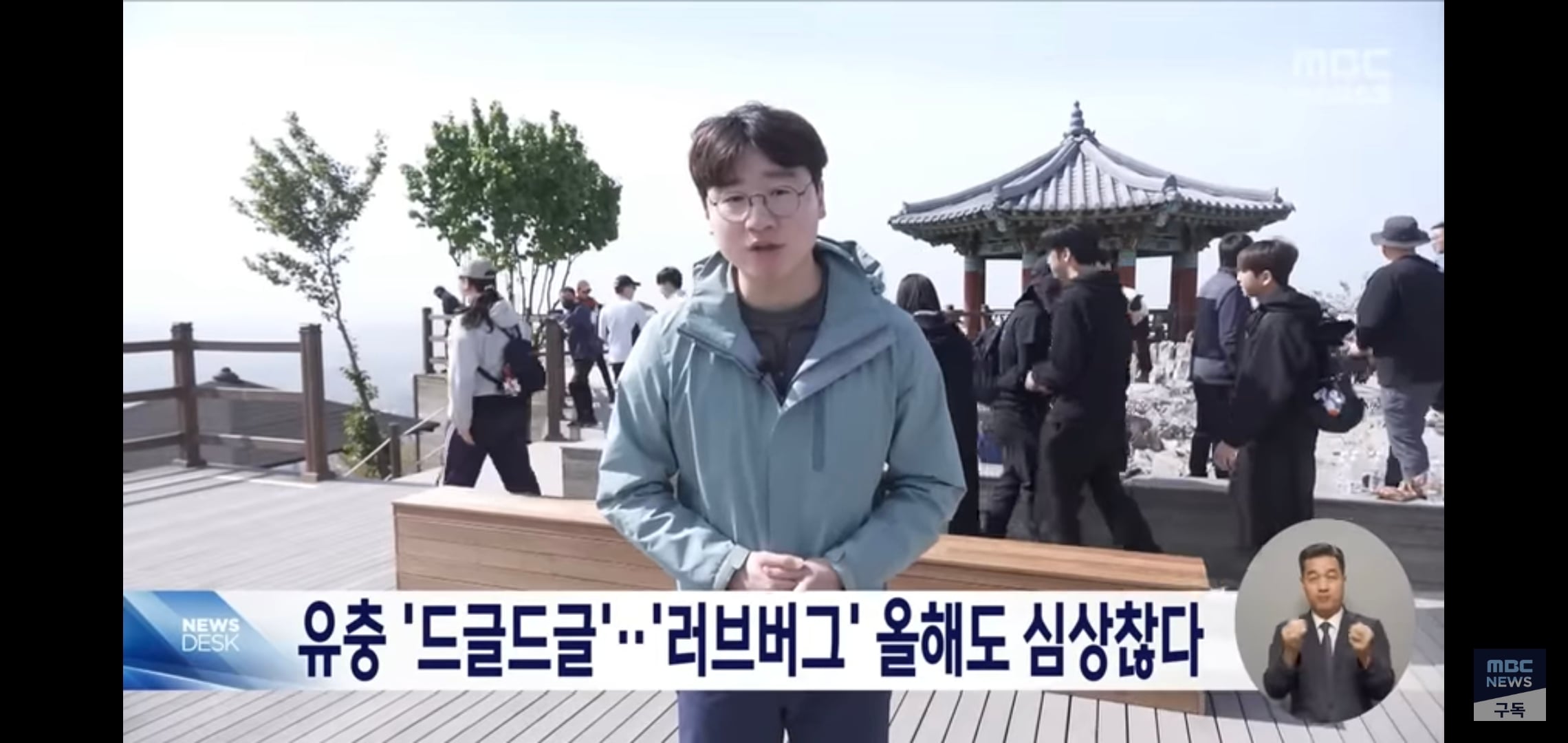벌써부터 심상치않다는 올해 러브버그 상태..jpg | 인스티즈