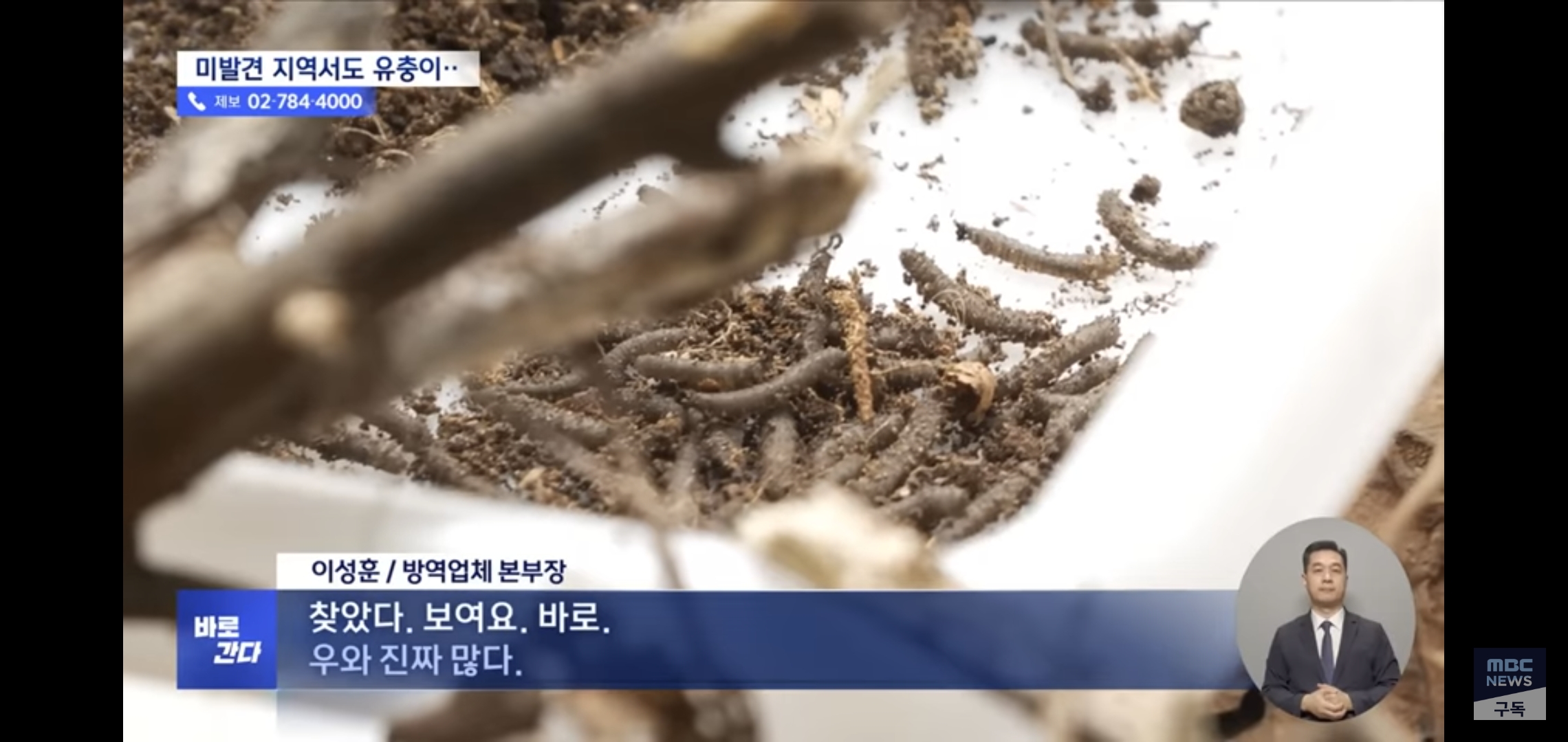 벌써부터 심상치않다는 올해 러브버그 상태..jpg | 인스티즈