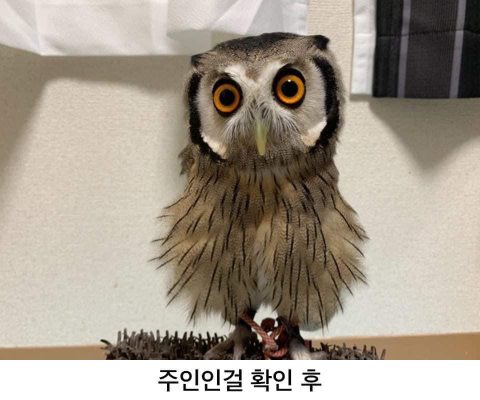 강자한테는 약하고 약자에겐 한없이 강한 동물 | 인스티즈