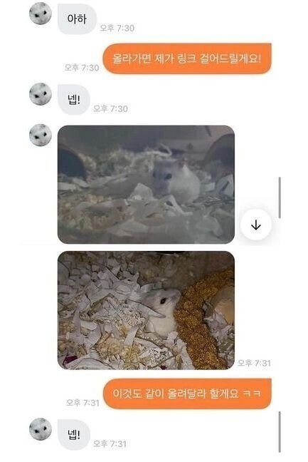 초딩이랑 당근거래 하면 생기는 일 | 인스티즈
