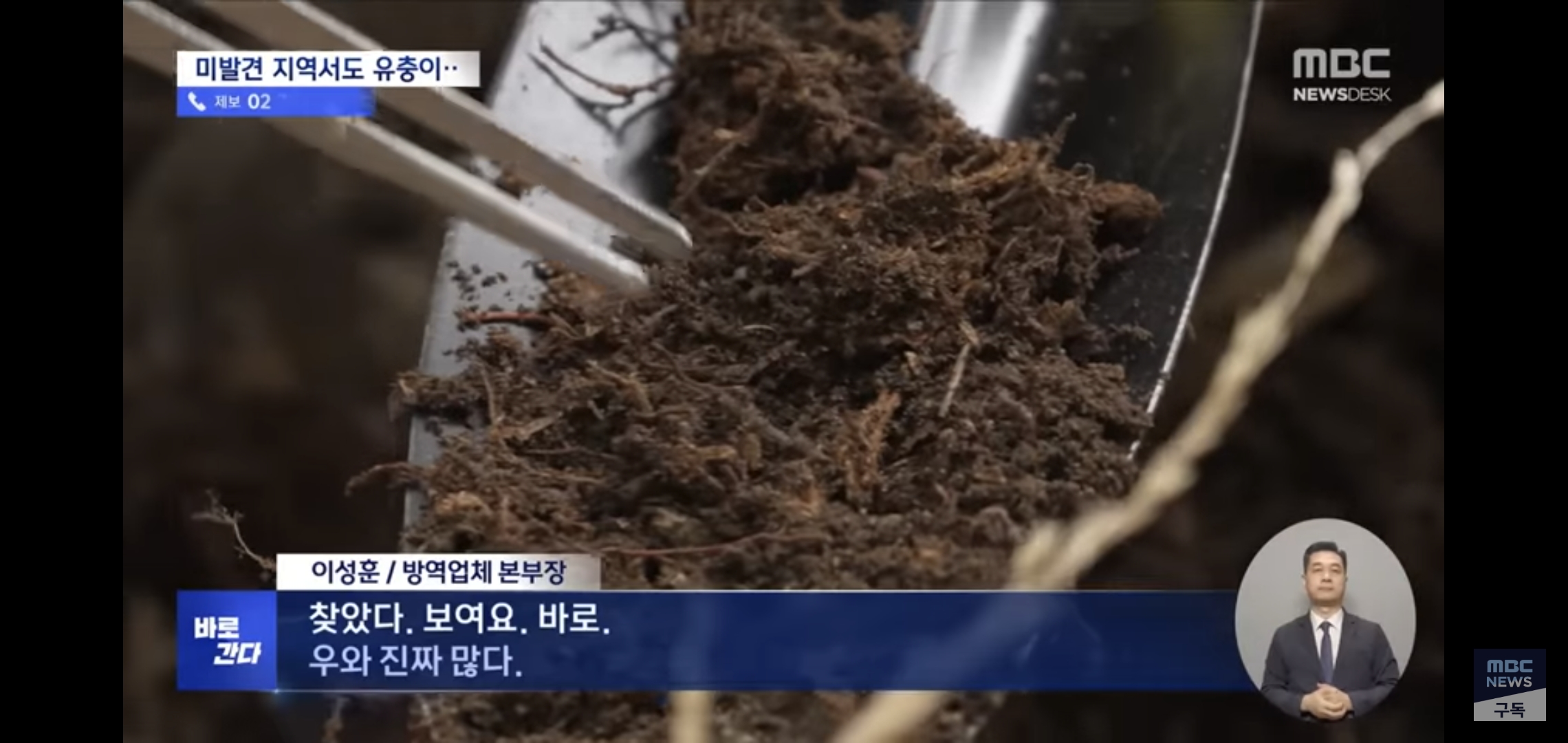 벌써부터 심상치않다는 올해 러브버그 상태..jpg | 인스티즈