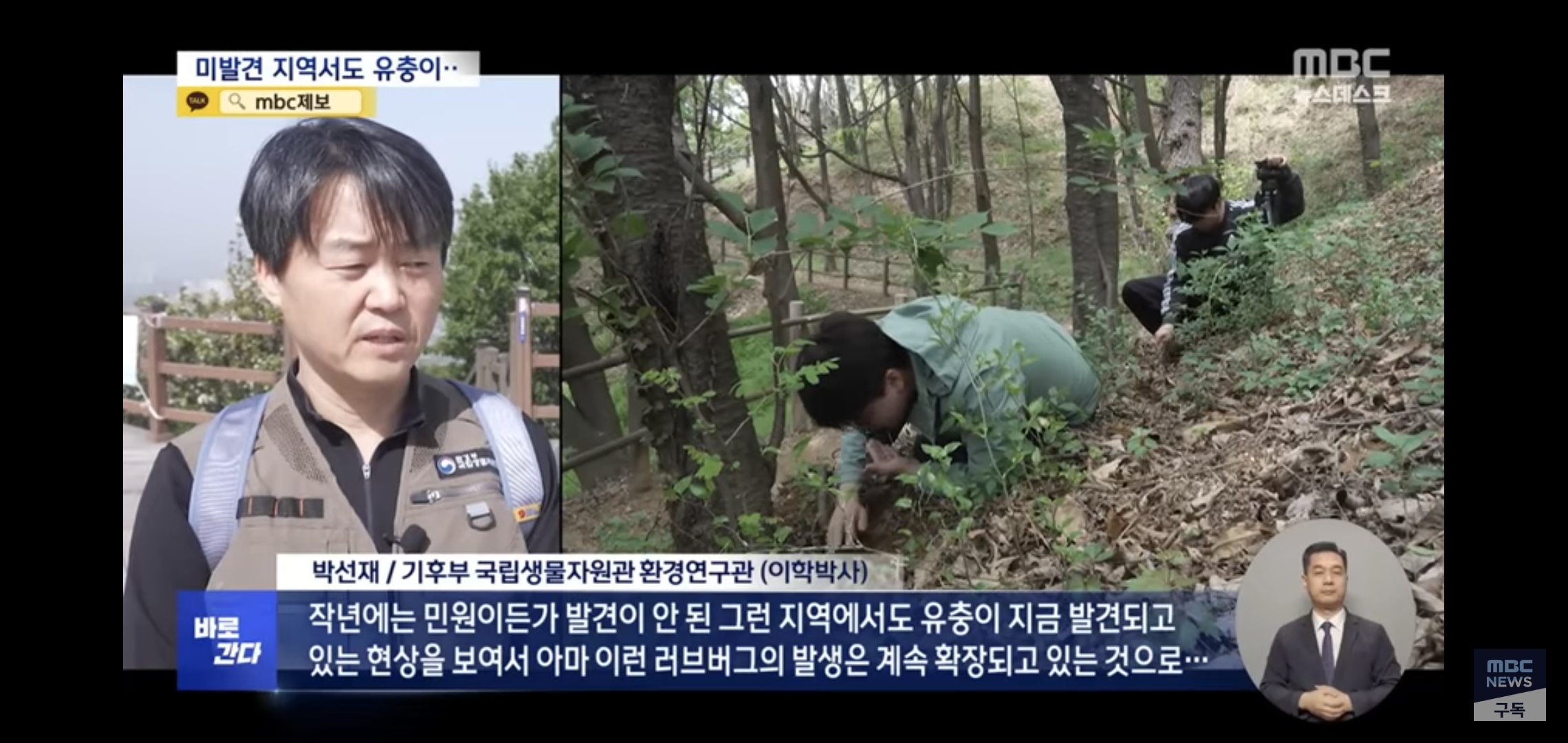 벌써부터 심상치않다는 올해 러브버그 상태..jpg | 인스티즈