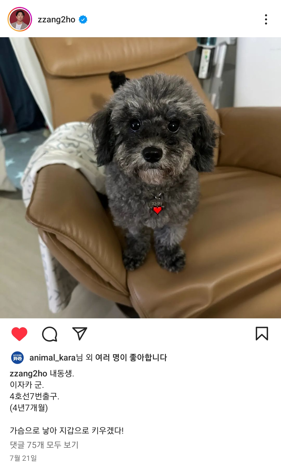 연천 번식장에서 구조된 강아지 입양한 개그맨 이창호 | 인스티즈