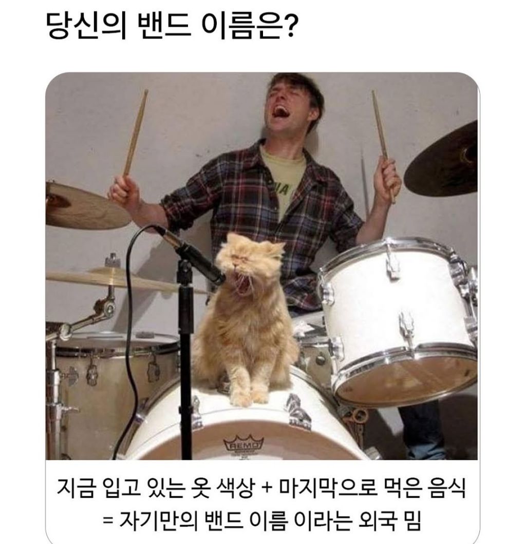 당신의 밴드이름은? | 인스티즈