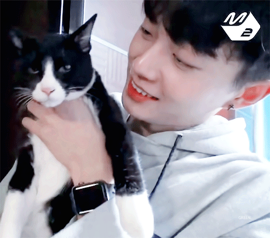 JBJ 김용국이 키우는 고양이 톨비 르시 | 인스티즈