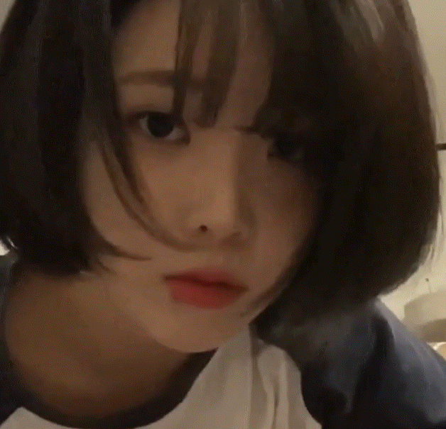 아이유 닮은 사진작가.jpg | 인스티즈