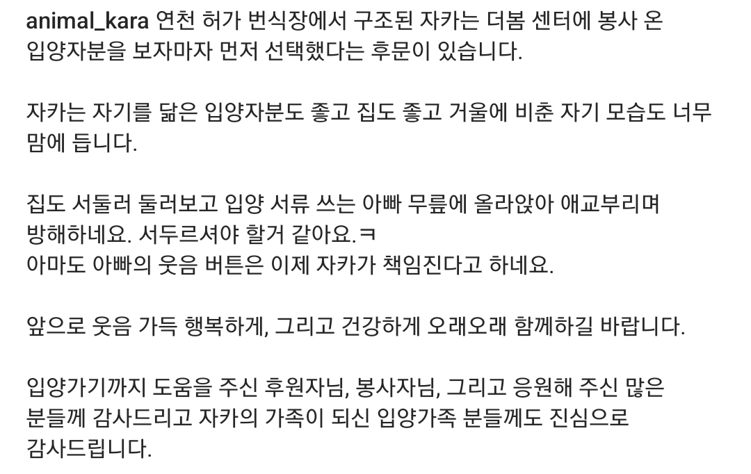 연천 번식장에서 구조된 강아지 입양한 개그맨 이창호 | 인스티즈