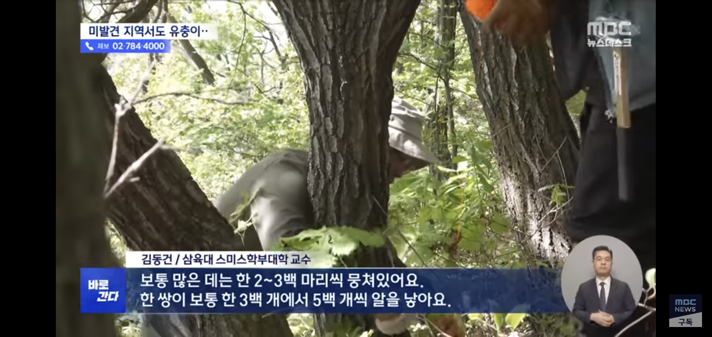 벌써부터 심상치않다는 올해 러브버그 상태..jpg | 인스티즈