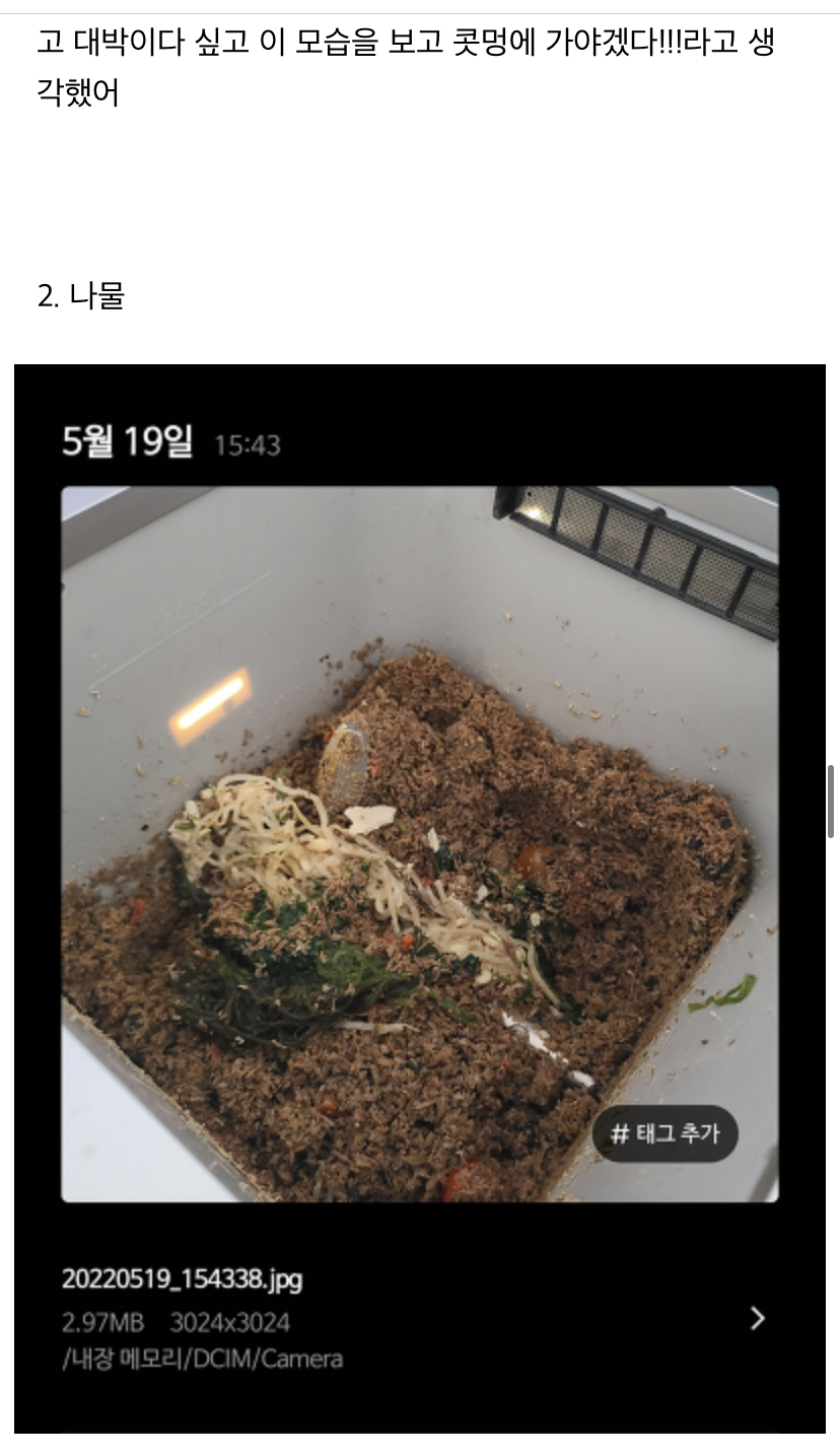 미생물 처리기에 음쓰 이것저것 많이 넣어본 후기 (미생물 키우기 1탄) | 인스티즈