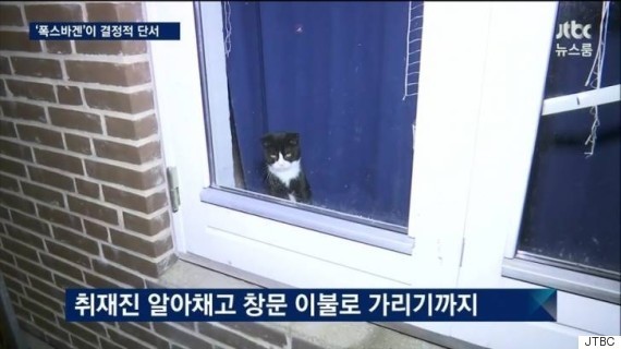  사진으로 보는 박근혜 탄핵 총정리 | 인스티즈