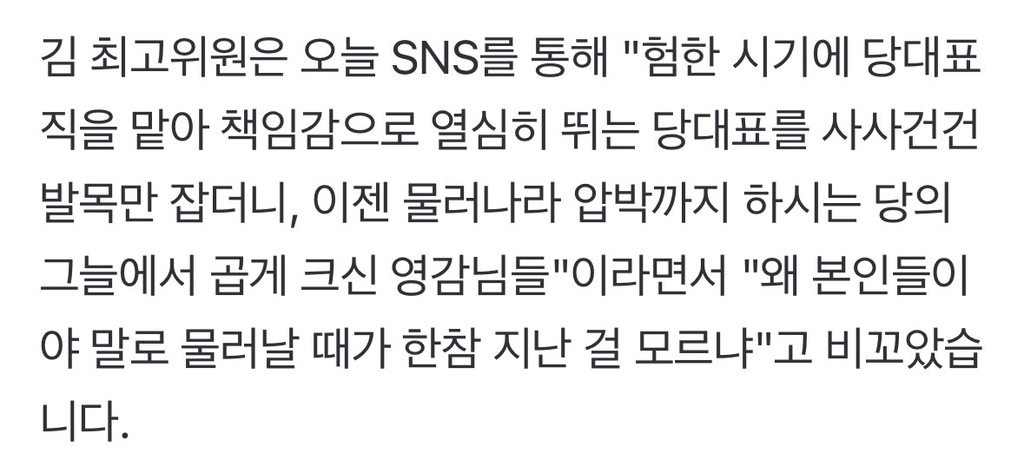 국힘 김민수, "곱게 크신 영감님들이 사사건건 당대표 발목" | 인스티즈