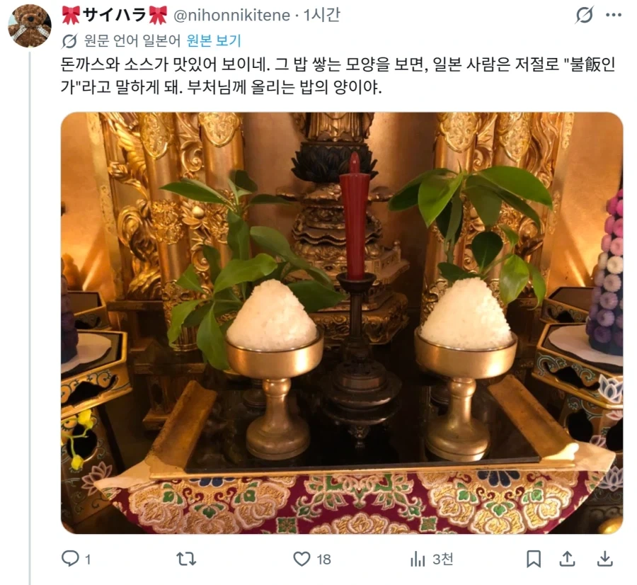 한국 돈까스 밥에 대한 일본인들 반응 | 인스티즈