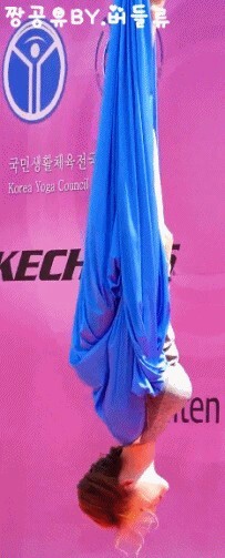 세계요가의 날 신수지의 플라잉 요가.gif | 인스티즈
