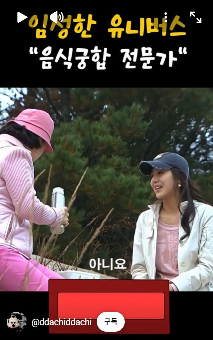 손종원 셰프 음식 취향 왜 임성한 드라마 속 조합 같냐 | 인스티즈