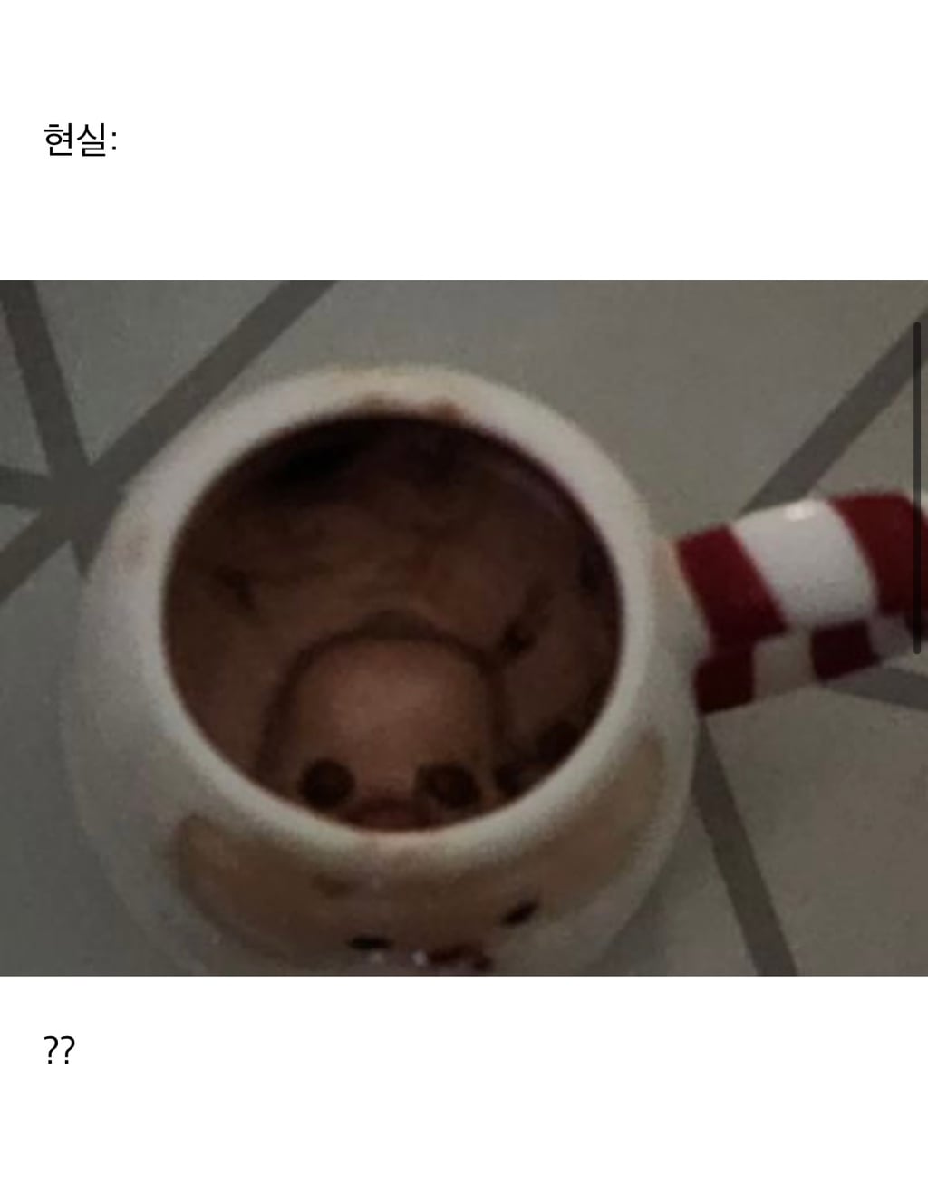 핫초코 루피 마시멜로 샀다가 기절하는줄 | 인스티즈