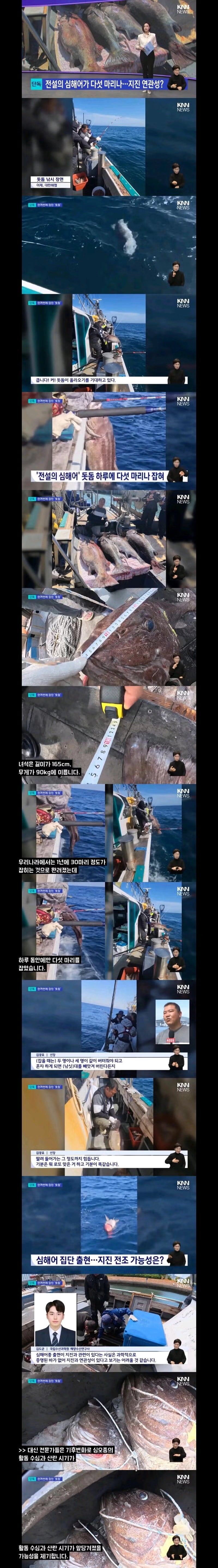 부산 앞바다 근황 | 인스티즈
