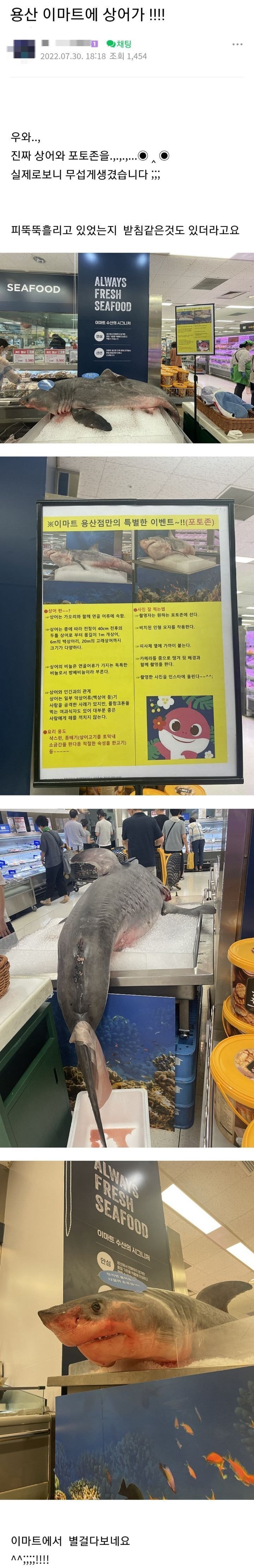 상어 시체랑 사진 찍으라고 포토존 마련한 이마트 | 인스티즈