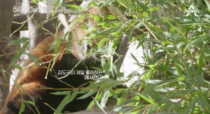 [하트시그널2] 사람이 온다. 현주가 온다. (도균-현주 데이트) | 인스티즈