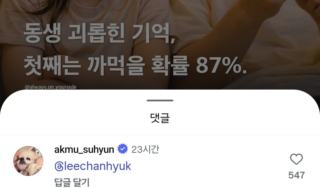 이수현이 이찬혁 인스타 댓글에 태그했는데 글내용 볼사람 | 인스티즈