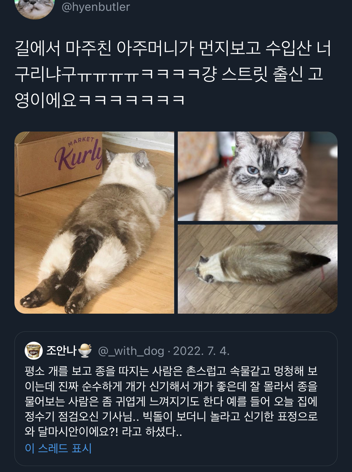 근데… 아파트에서 고라니새끼 키워도 돼요..? | 인스티즈
