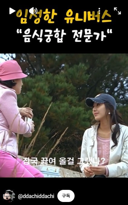 손종원 셰프 음식 취향 왜 임성한 드라마 속 조합 같냐 | 인스티즈