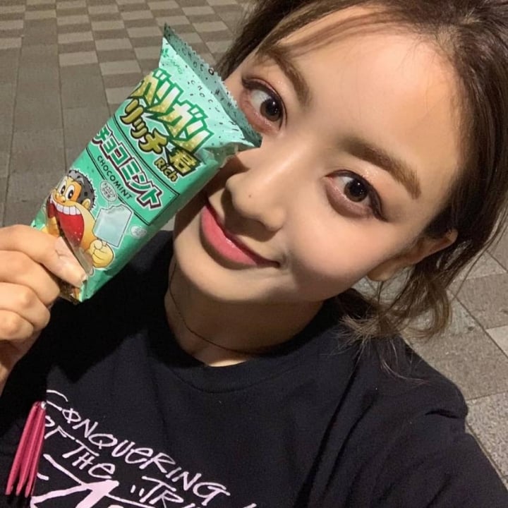 민초단 아이돌과 민초를 배척하는 반민초단의 의견.jpg | 인스티즈