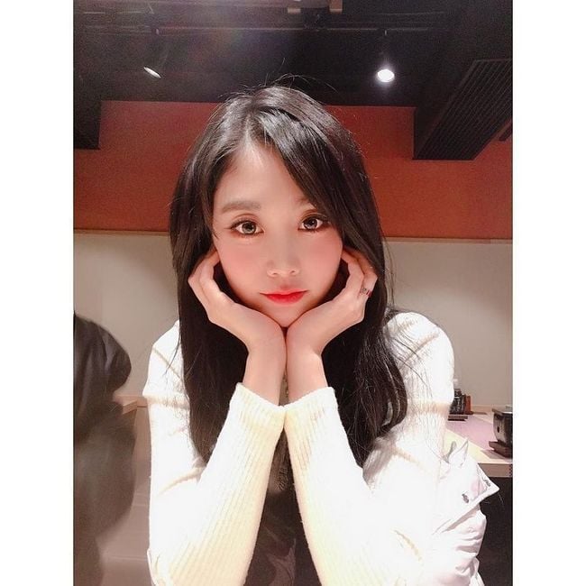 민초단 아이돌과 민초를 배척하는 반민초단의 의견.jpg | 인스티즈